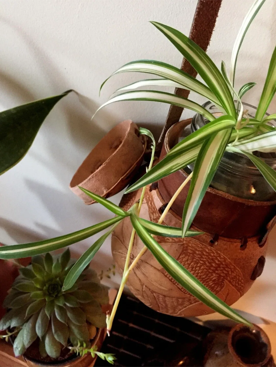 #🎁idea•Hand Carved Gourd planters