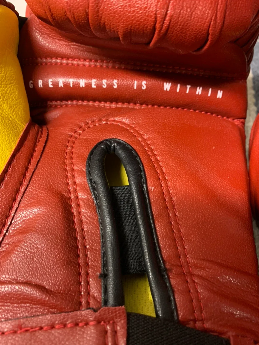 Everlast Evershield+ Boxing Gloves - Medium image indicator(3)