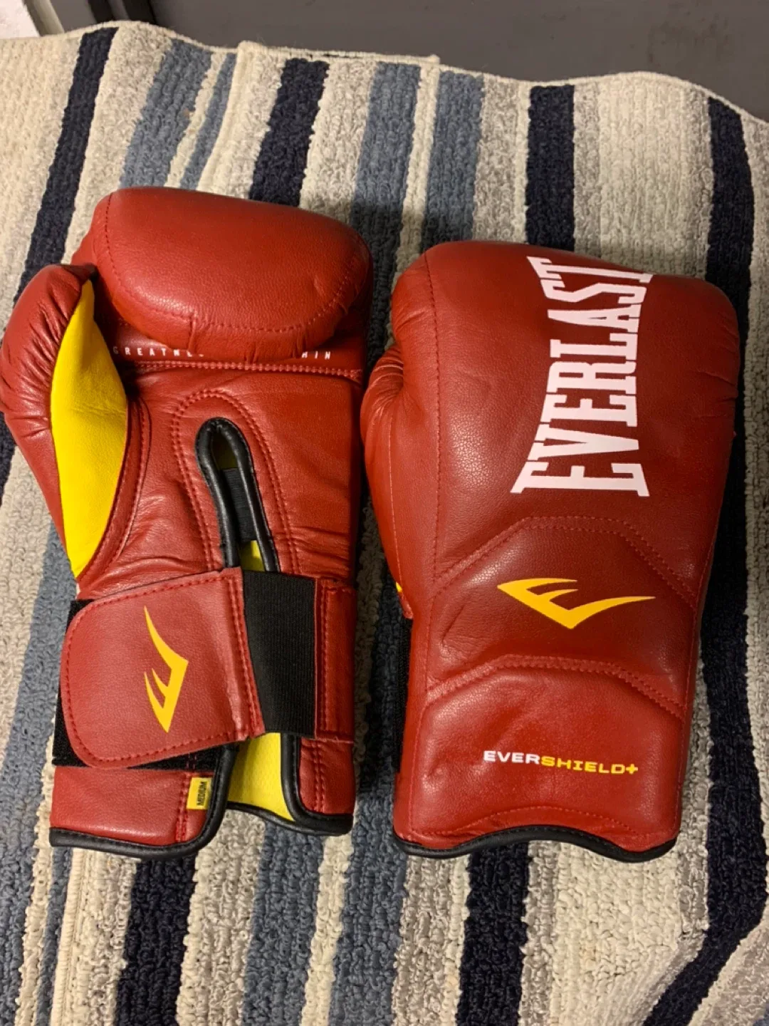 Everlast Evershield+ Boxing Gloves - Medium