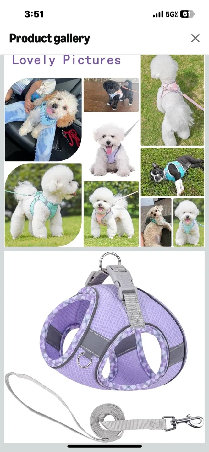 Reflective Dog Harness - Safety at Night