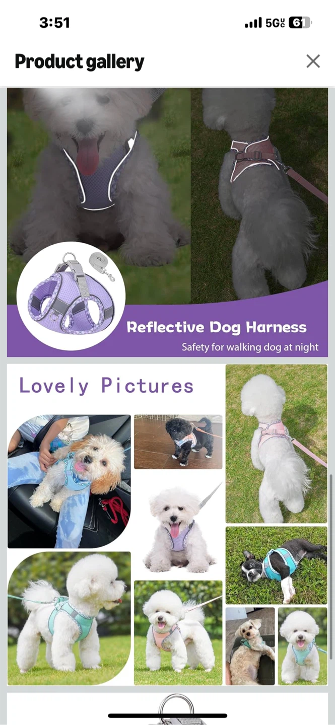 Reflective Dog Harness - Safety at Night - photo 2