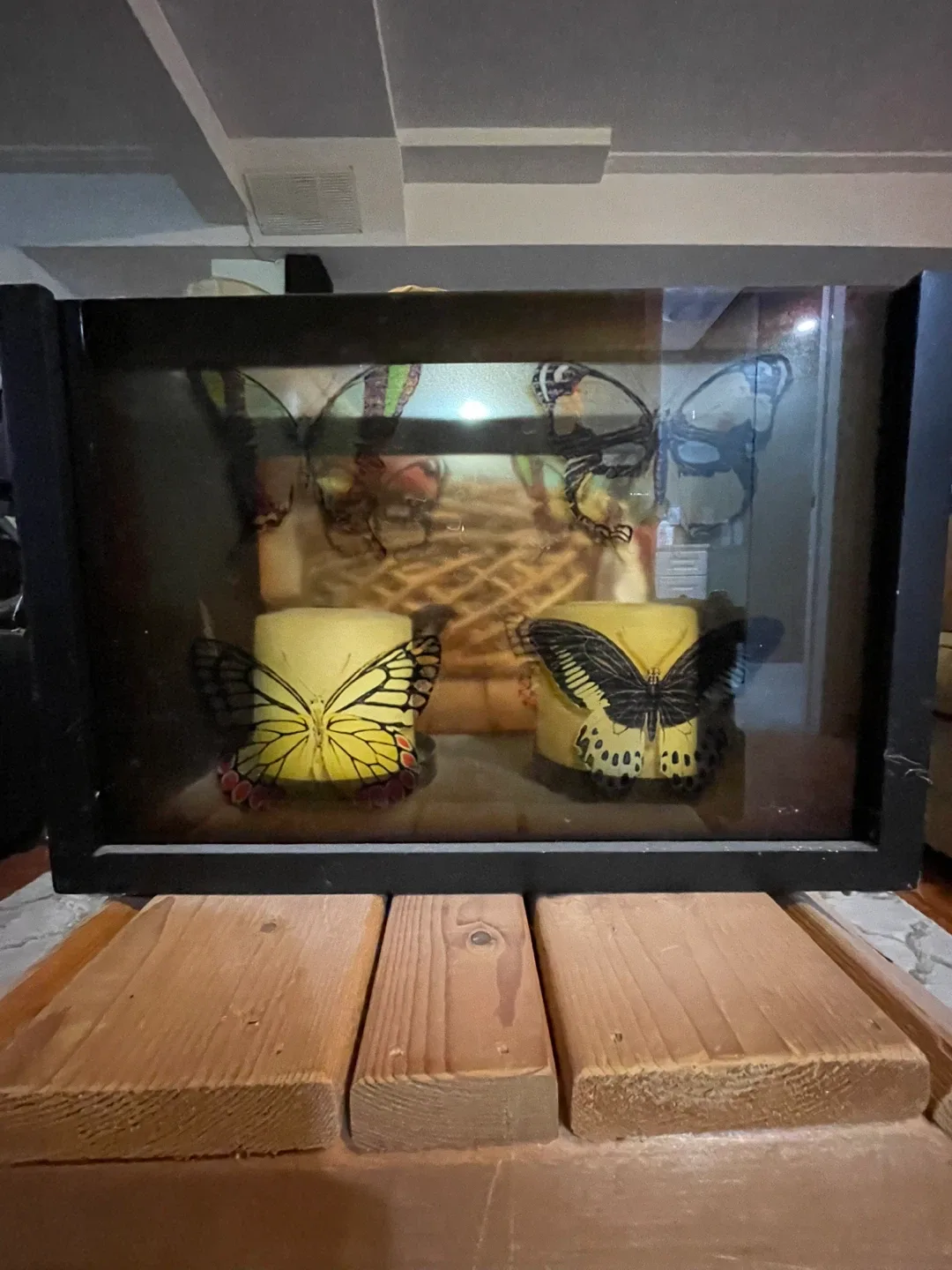 Butterfly Candle Holder #Cleanout ♻️