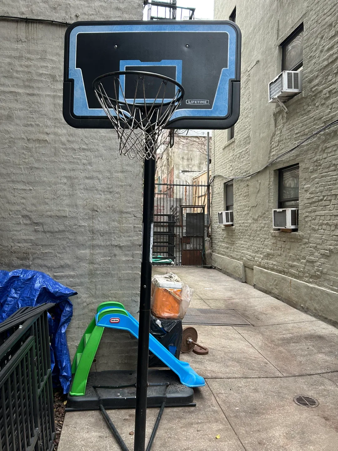 Lifetime Basketball Hoop