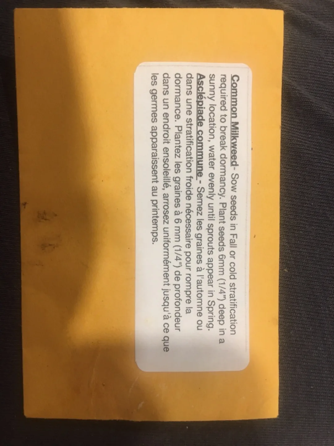 Common Milkweed Seeds