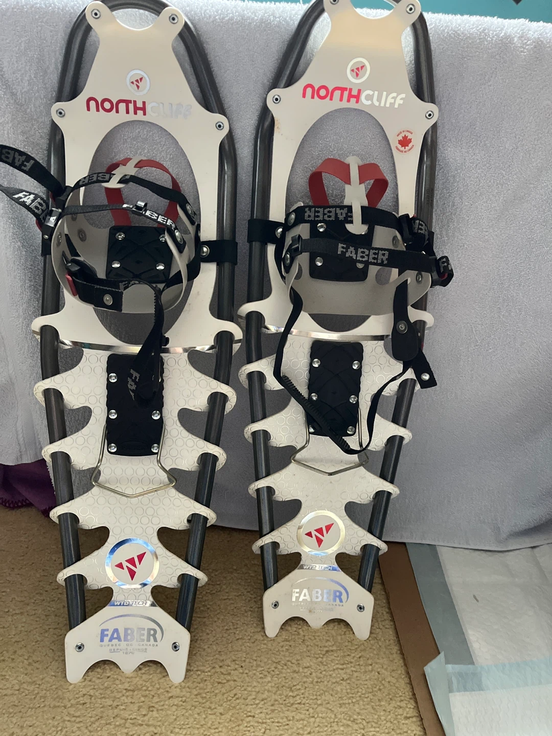 Snow shoes