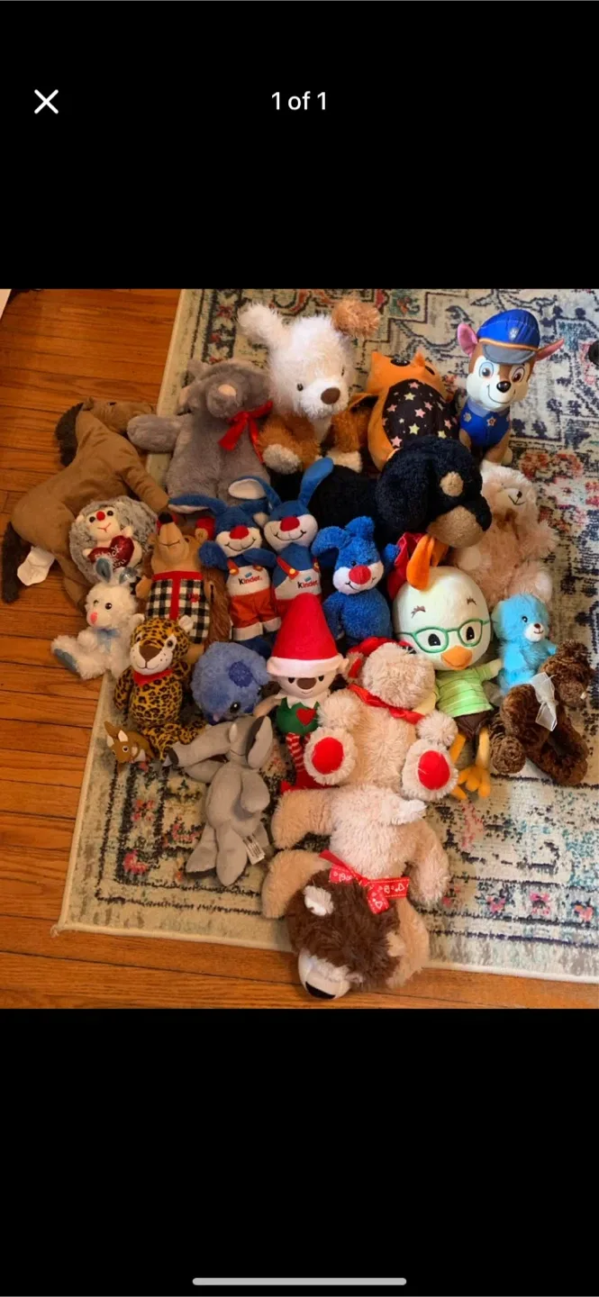 Assorted Stuffed Animals (take all)