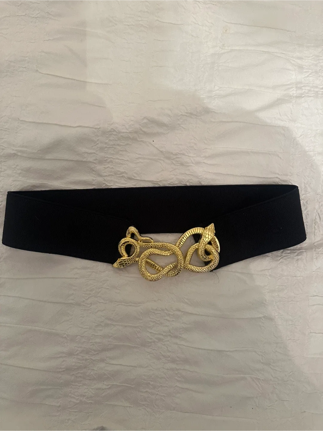Black Belt with Gold Snake Clasp