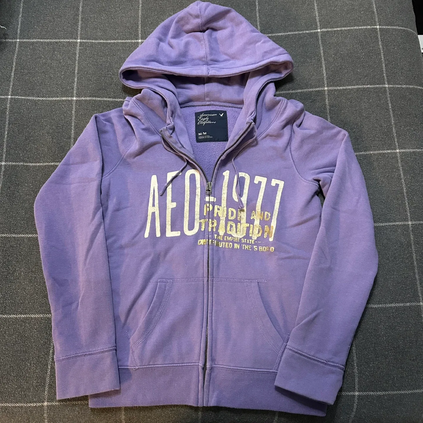 American Eagle Outfitters Purple Hoodie