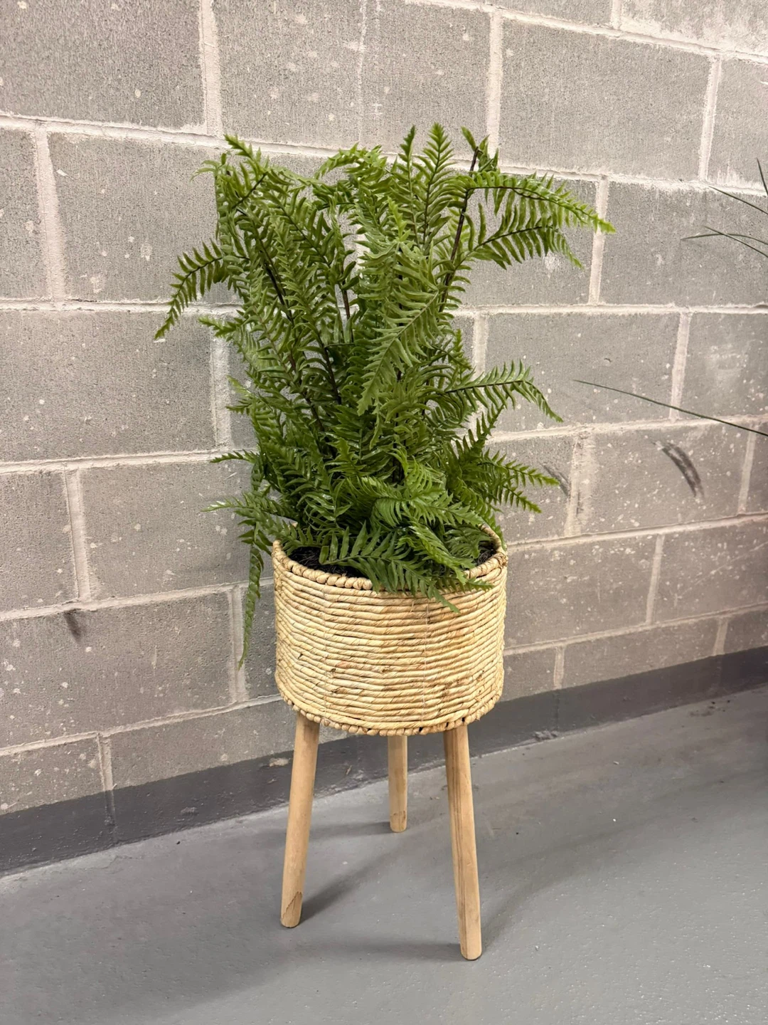 Potted Artificial Fern Plant with Stand