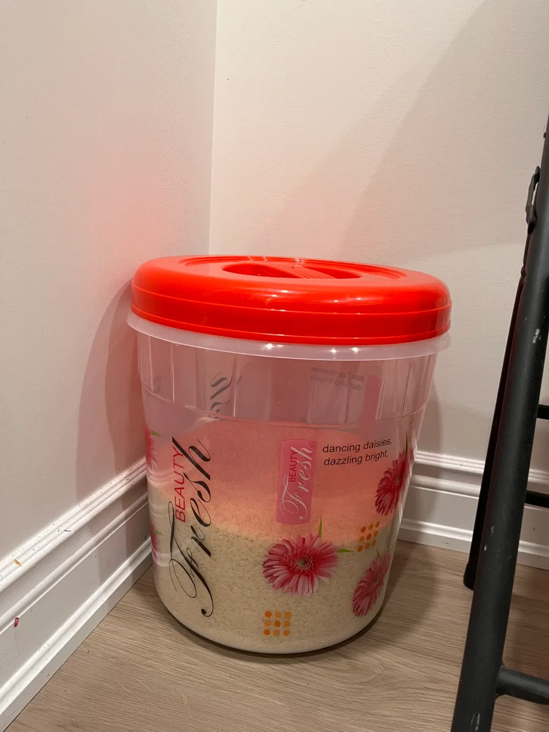 Rice Storage Container - LARGE - NEw