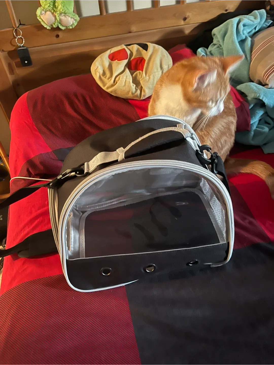 #Cleanout Brand new Pet Carrier - Black & Grey image indicator(2)