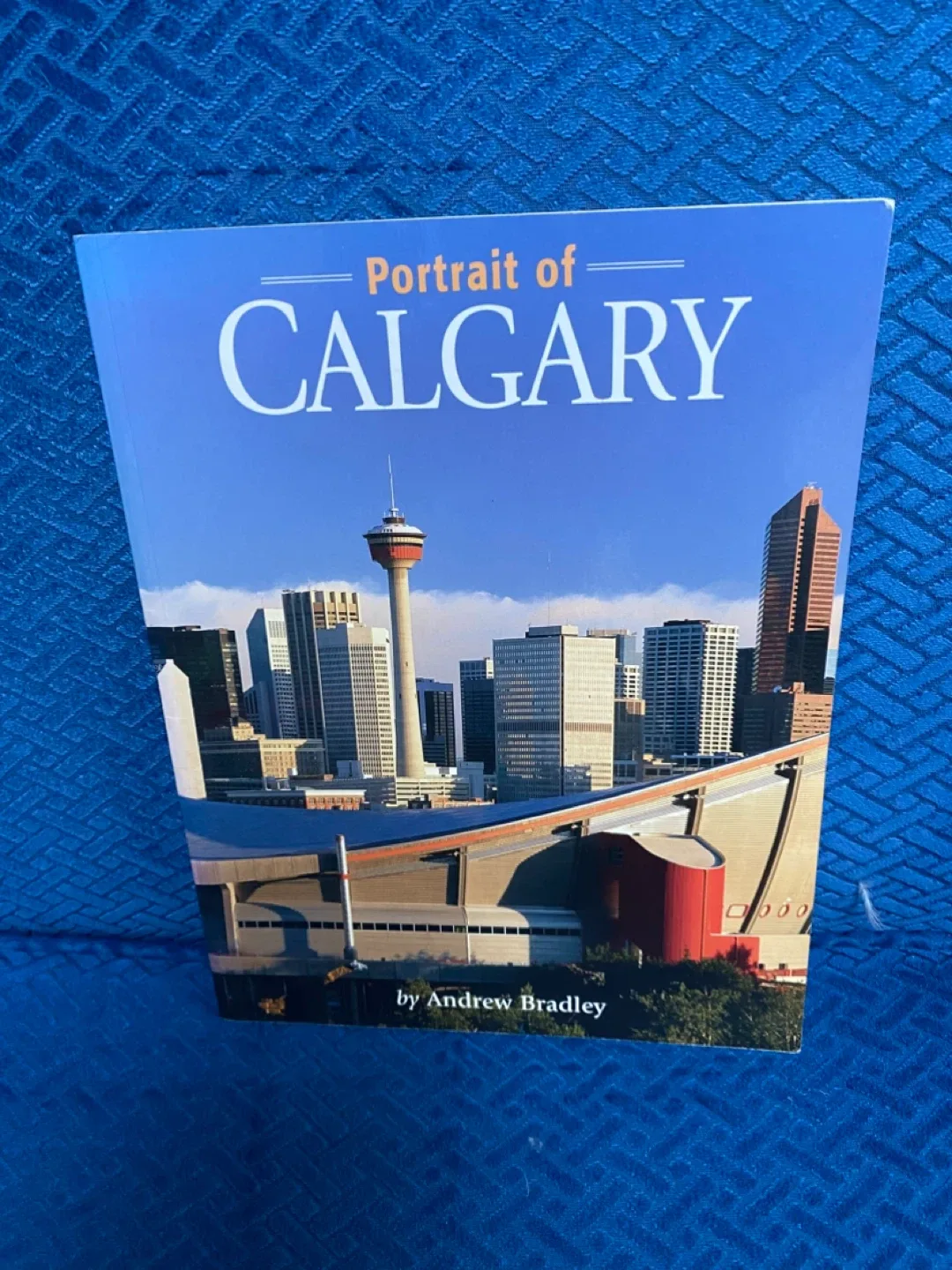 Portrait of Calgary by Andrew Bradley