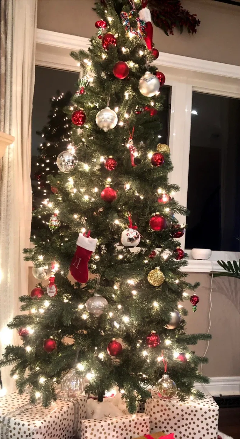 Lighted Christmas Tree + Ornaments