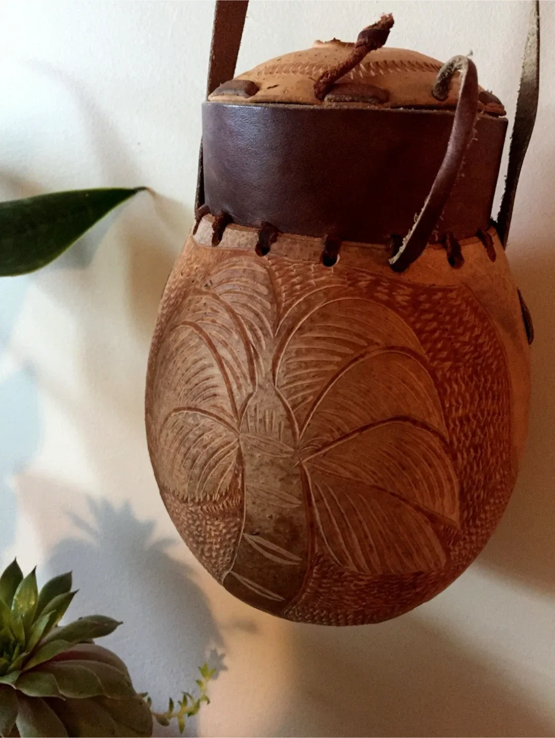 #🎁idea•Hand Carved Gourd planters image indicator(5)