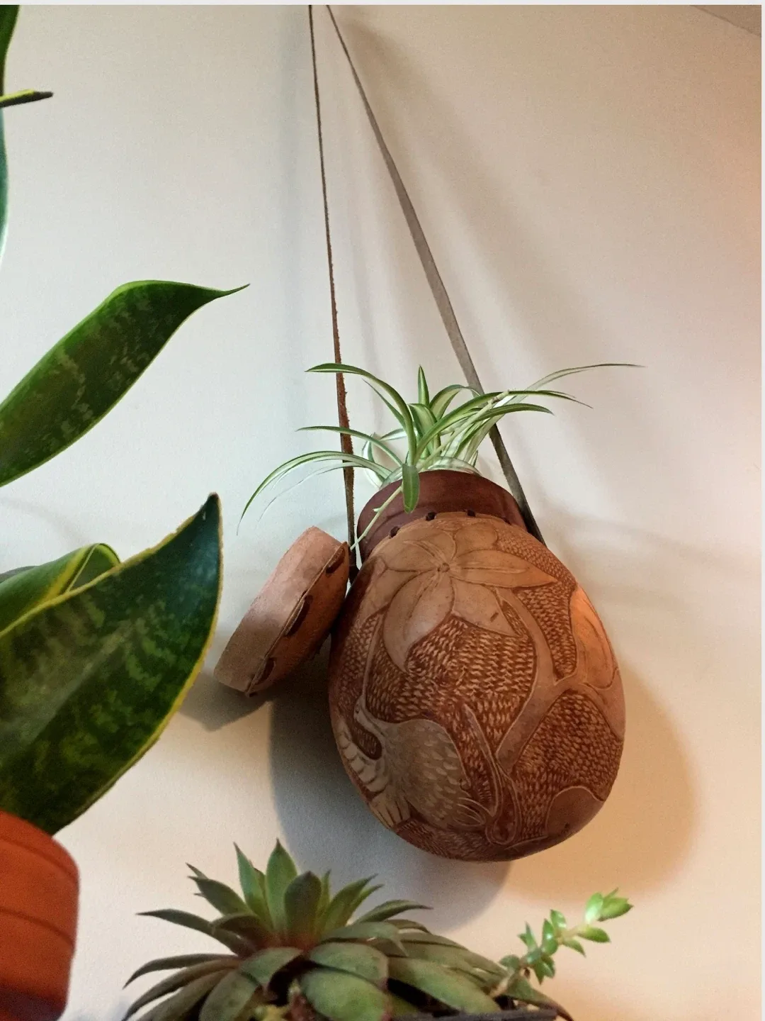 #🎁idea•Hand Carved Gourd planters image indicator(4)