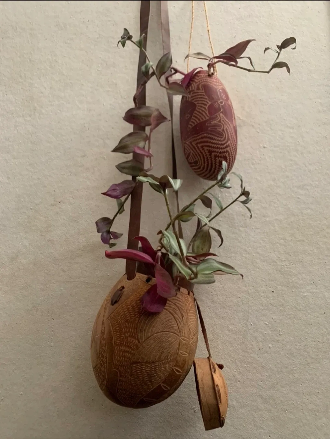 #🎁idea•Hand Carved Gourd planters image indicator(10)