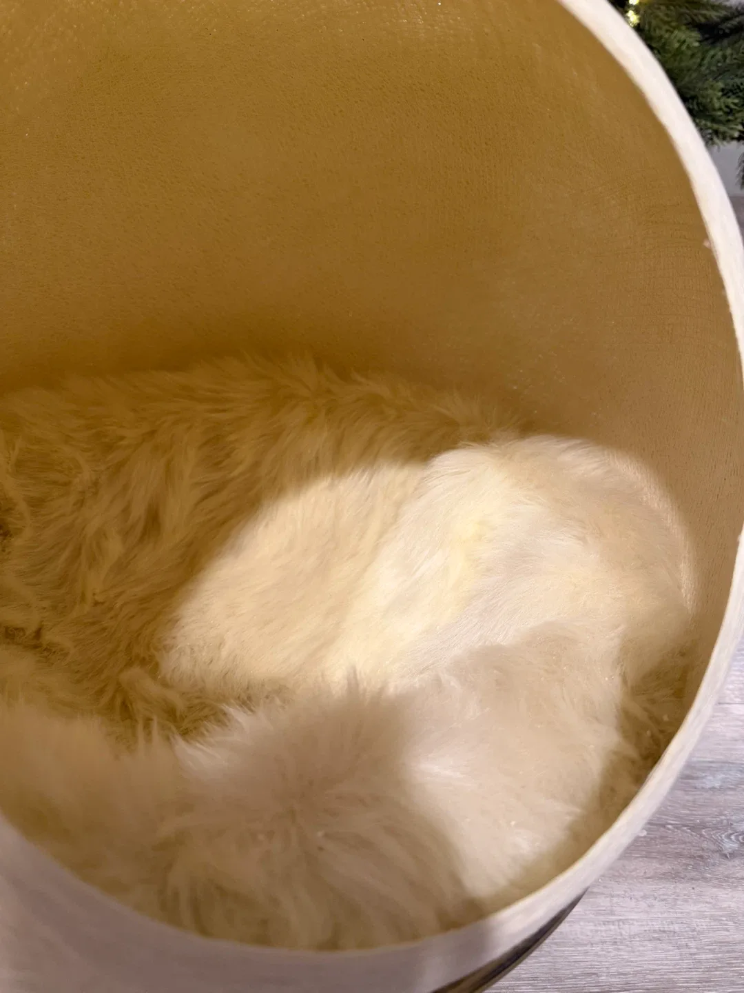 StellarModern Cat Bed image indicator(2)