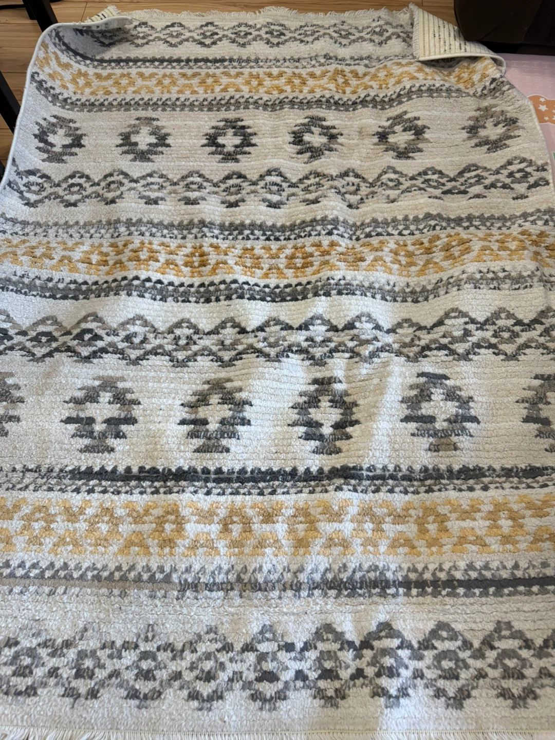 Move Out Sell -  Rug 3'11"x5'3" Area Rug