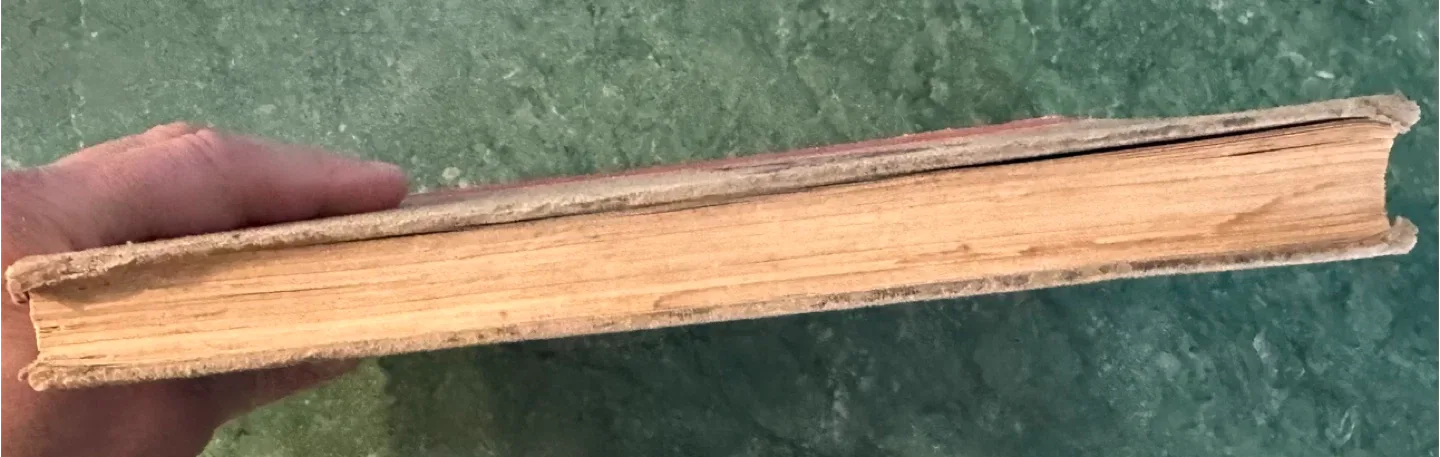 1944 Hardcover The Wonderful Wizard of Oz Book image indicator(3)