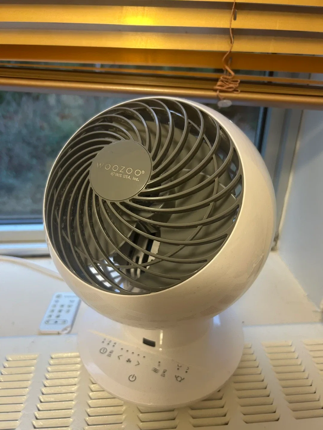 Woozoo Globe Multi-Directional Oscillating Fan