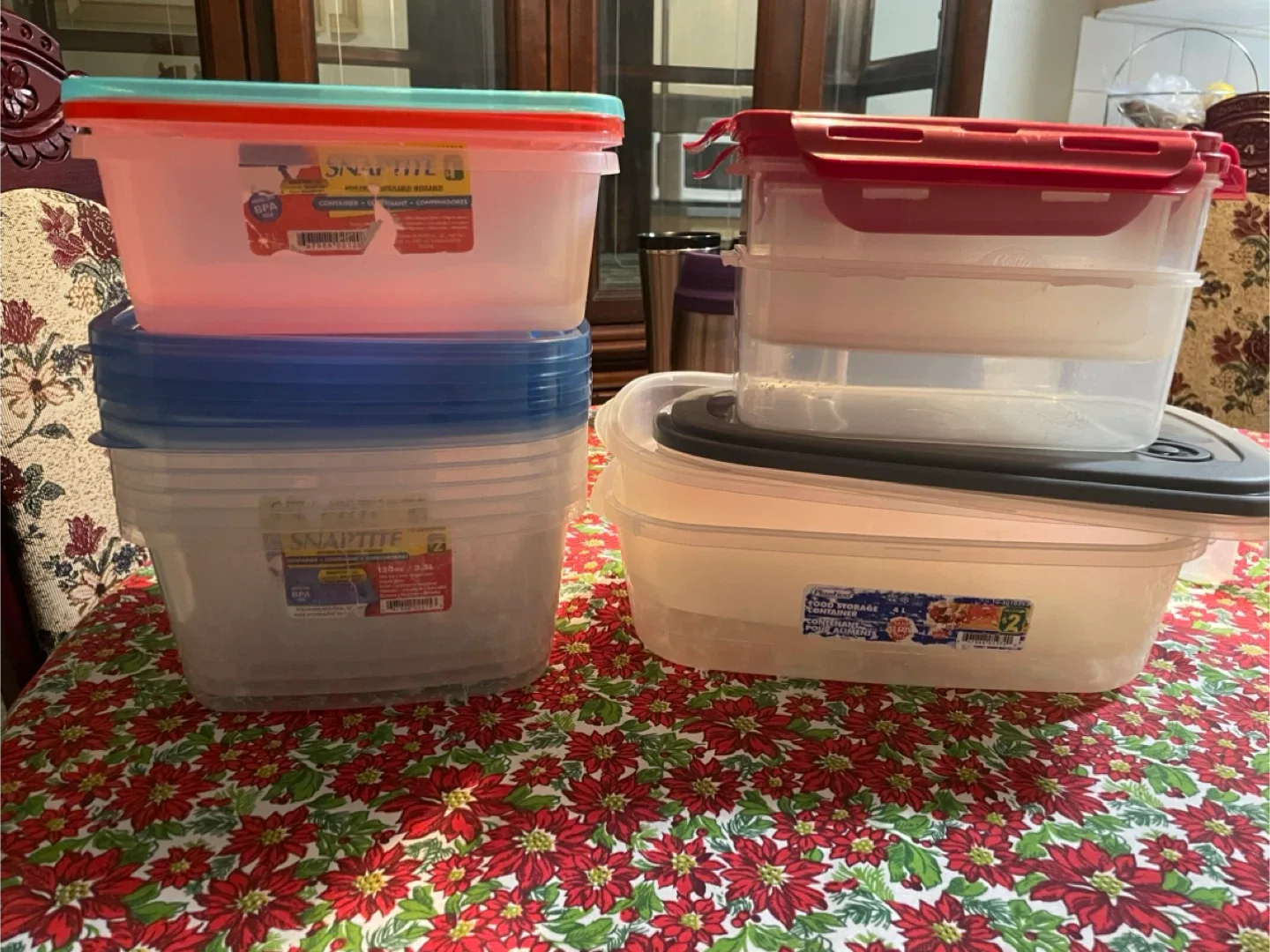 Snapware & Dollarama Food Storage Containers