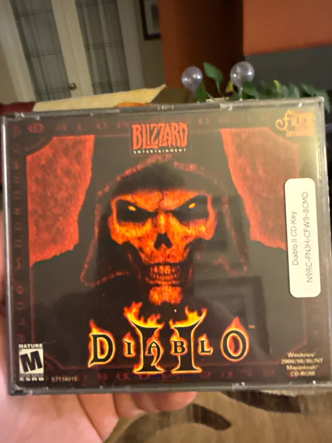 Diablo II Game