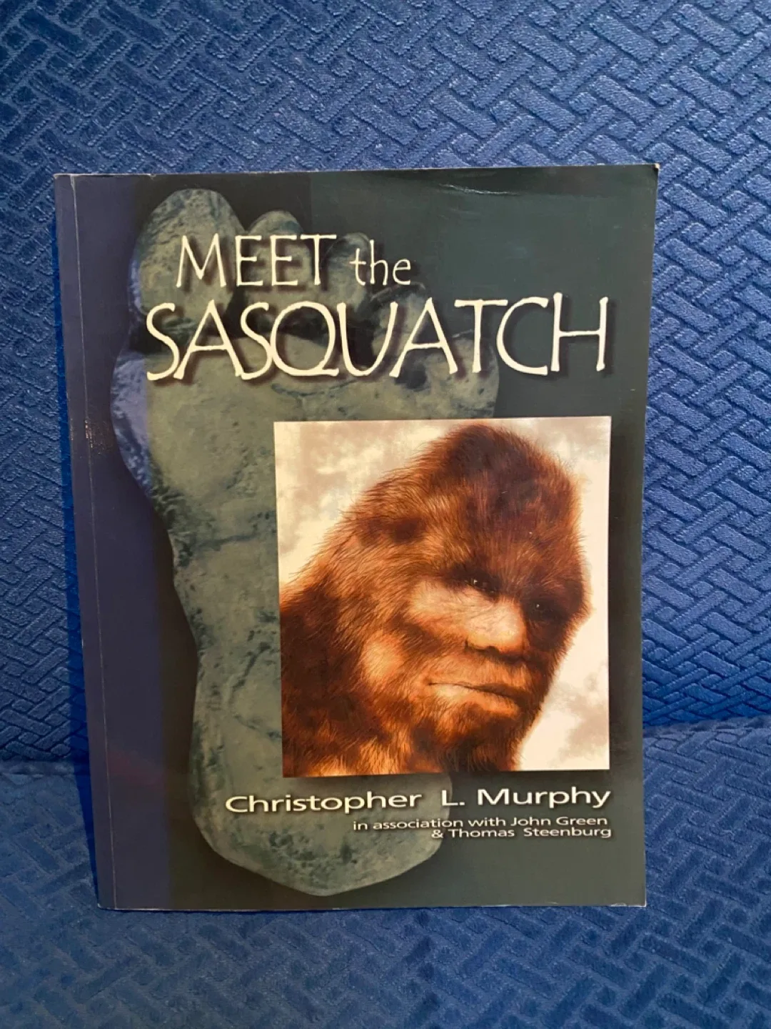 Meet the Sasquatch by Christopher L. Murphy