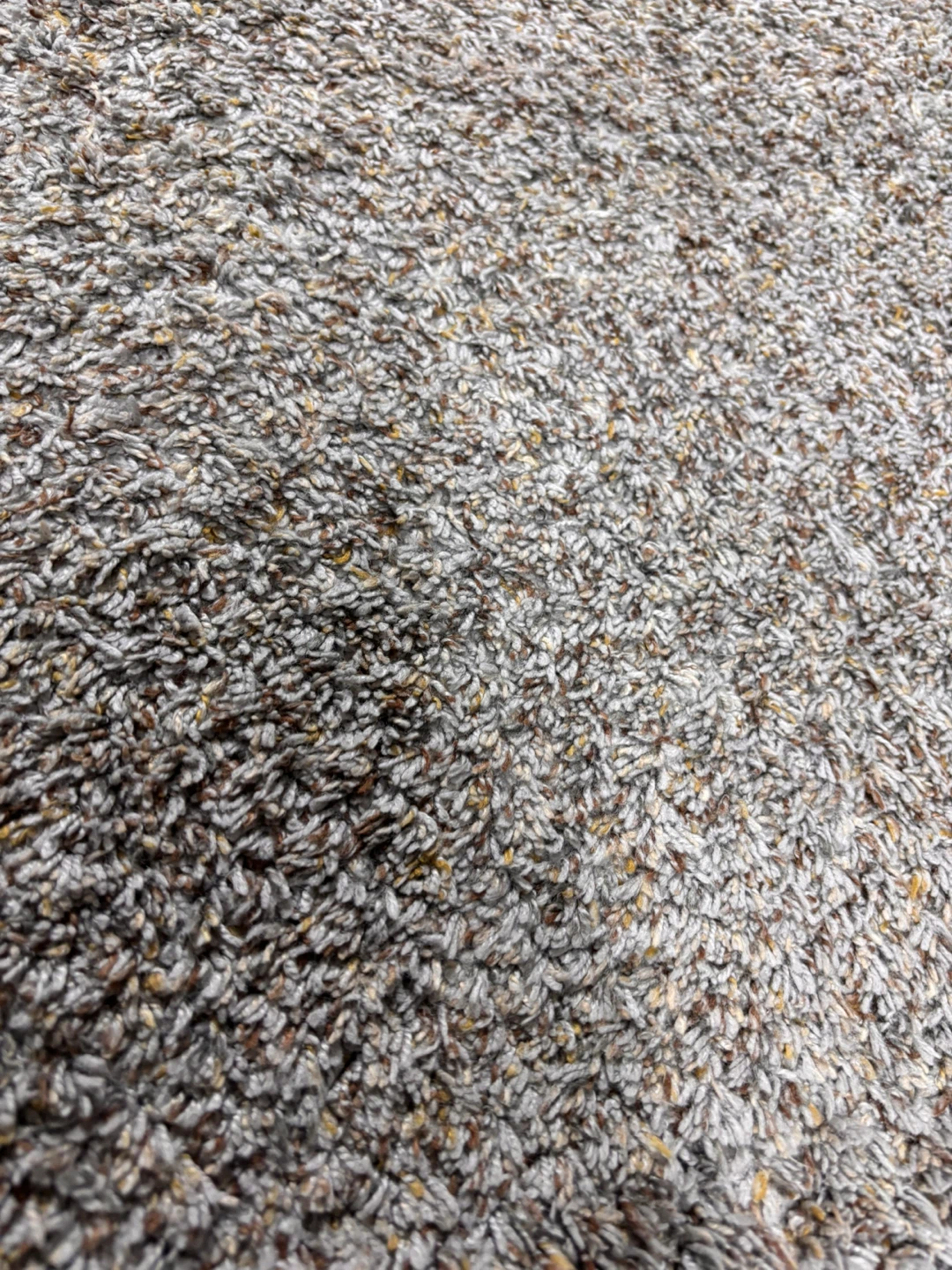 Carpet5 by 7 - photo 2