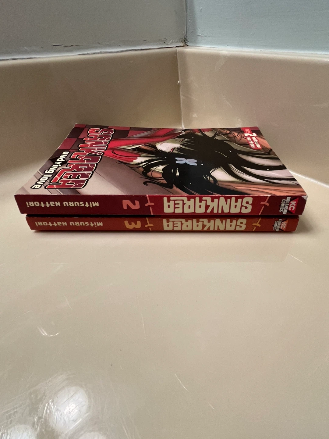 Sankarea Undying Love Volume 2-3 Manga - photo 3