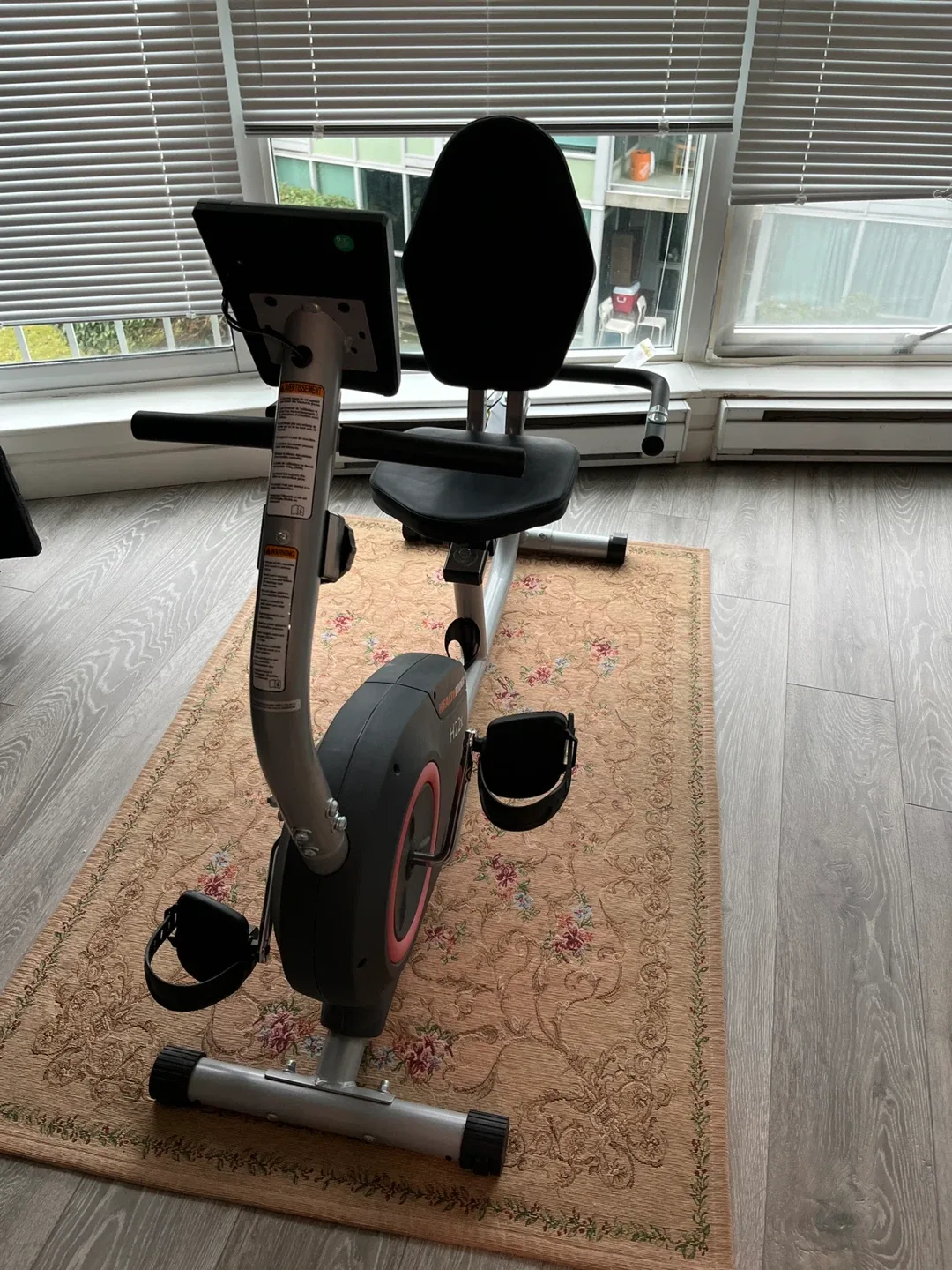 Health Rider H22X Recumbent Exercise Bike #Cleanout