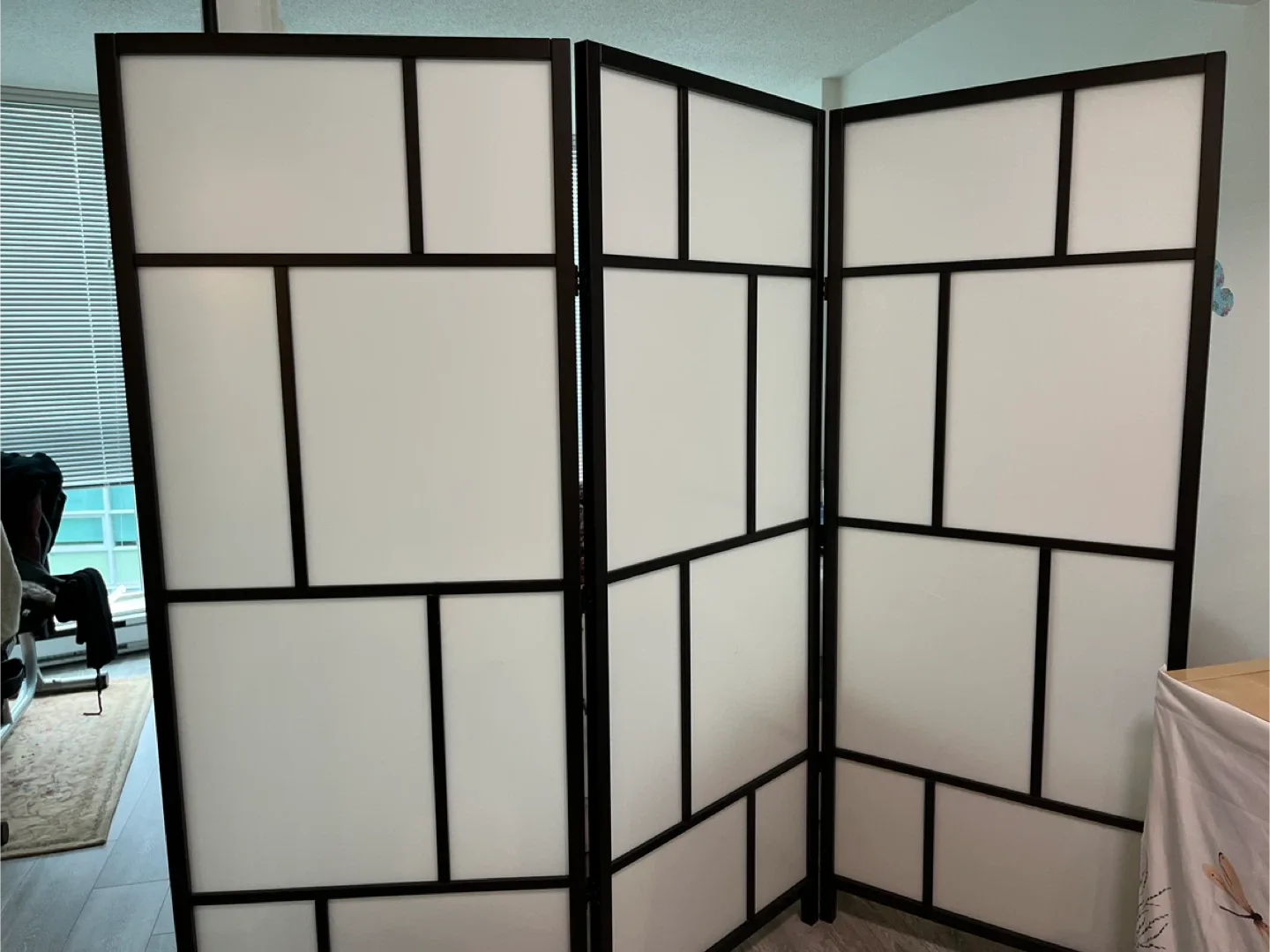 IKEA room divider #Cleanout