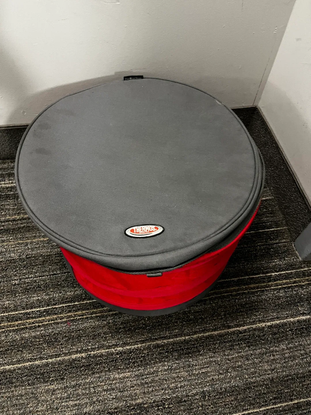 Thermos Foldable Cooler