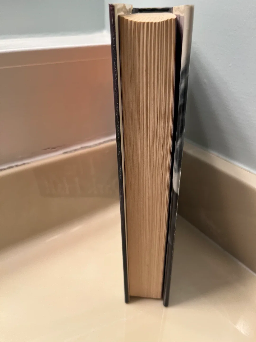 The Dark Half Stephen King Hardcover Book image indicator(4)