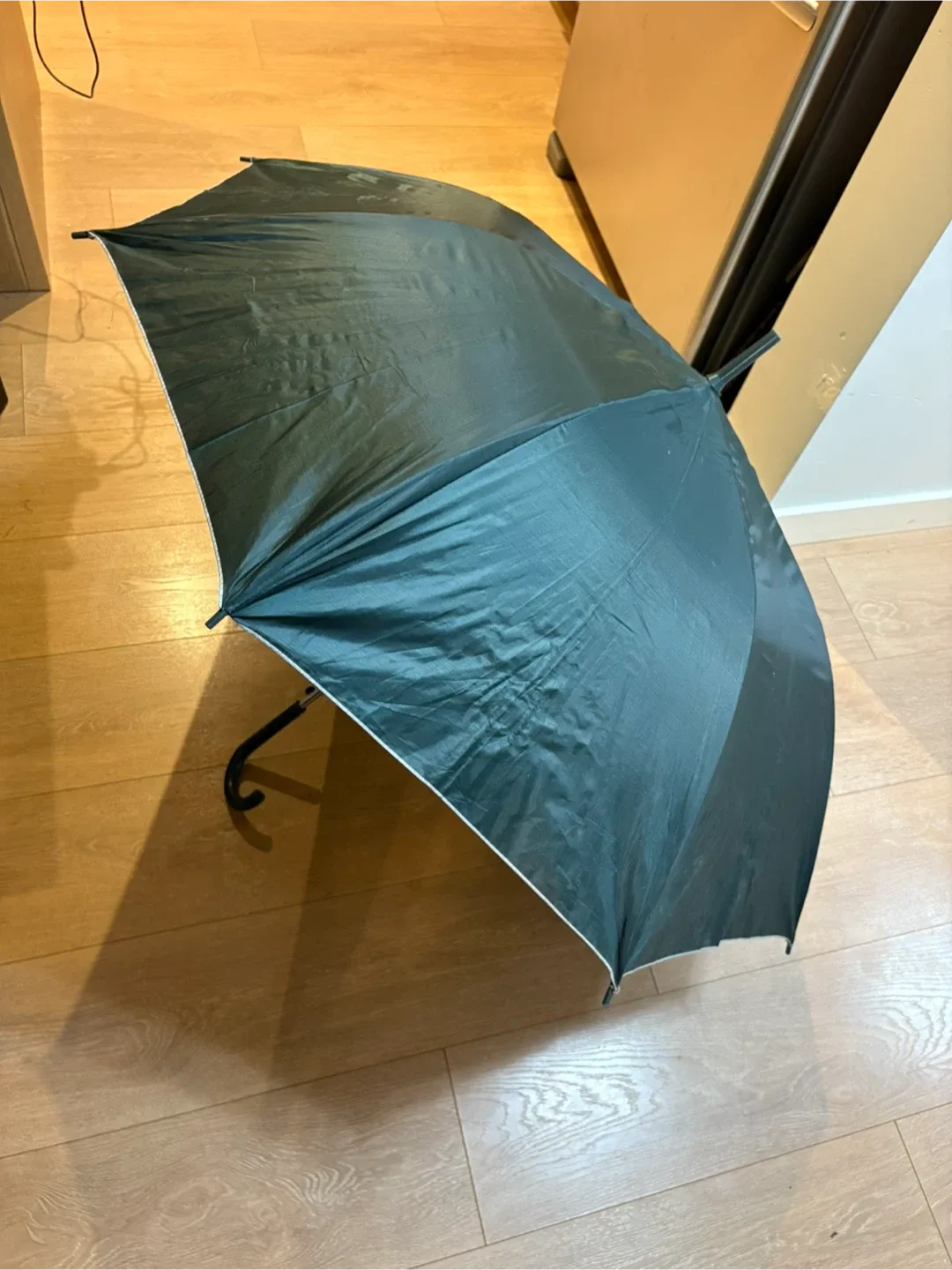 Green Umbrella