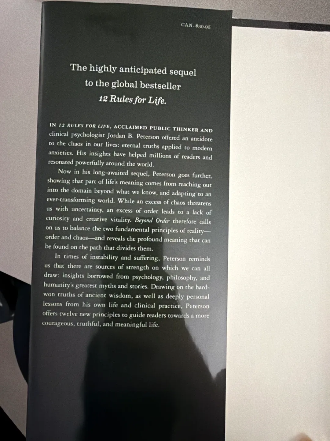 Jordan B. Peterson Beyond Order Book #Cleanout image indicator(4)