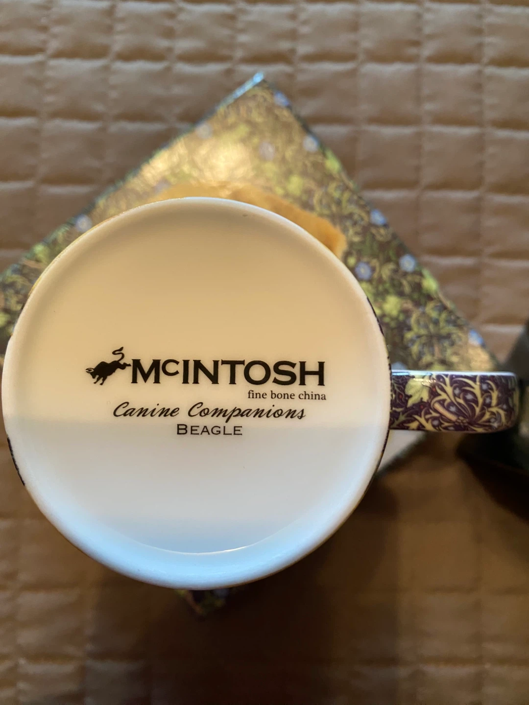 Beagle fine bone china from the Rob McIntosh - photo 4