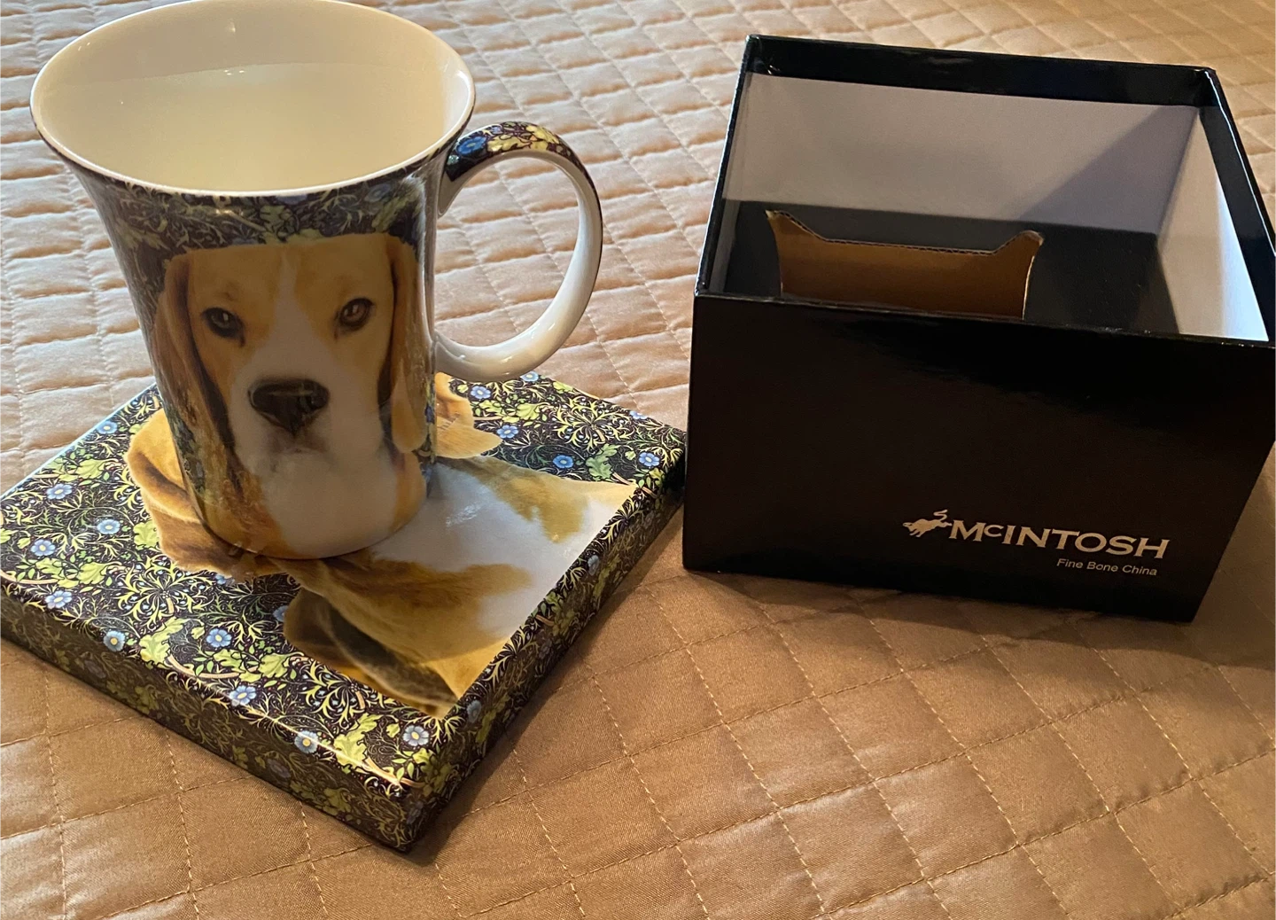 Beagle fine bone china from the Rob McIntosh - photo 3