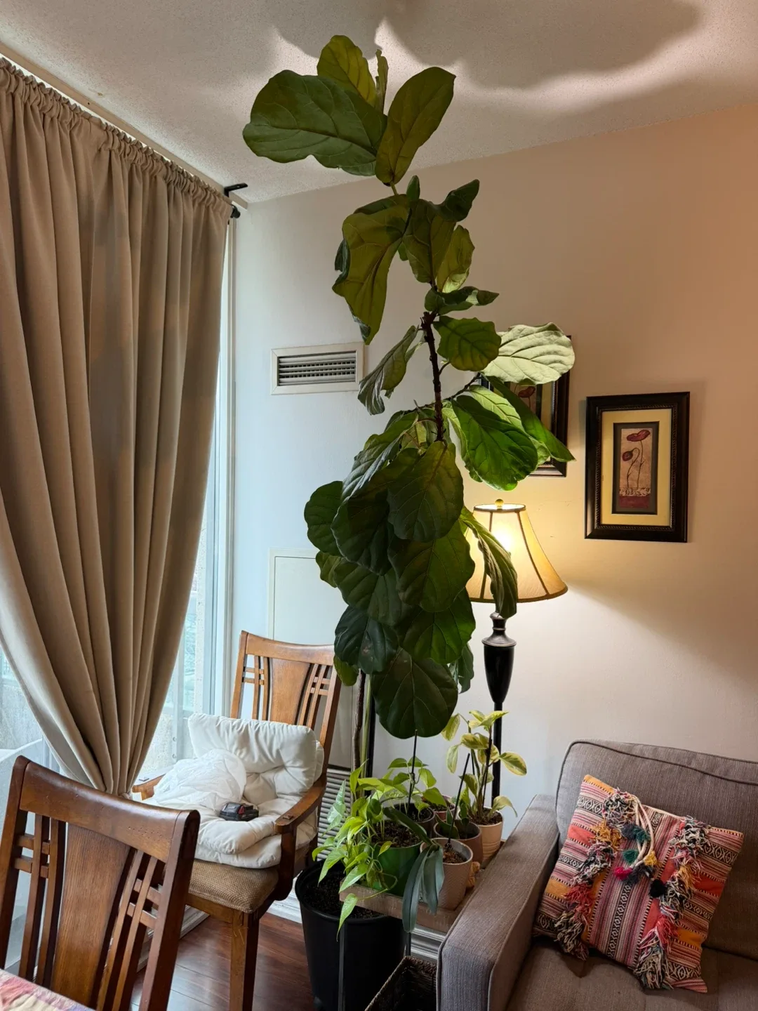 Moving Sale! image indicator(9)