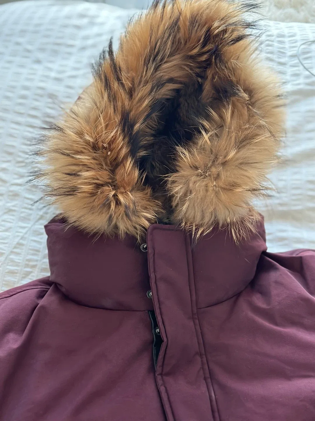 Mackage Down Parka Bordeaux Size 40 image indicator(6)