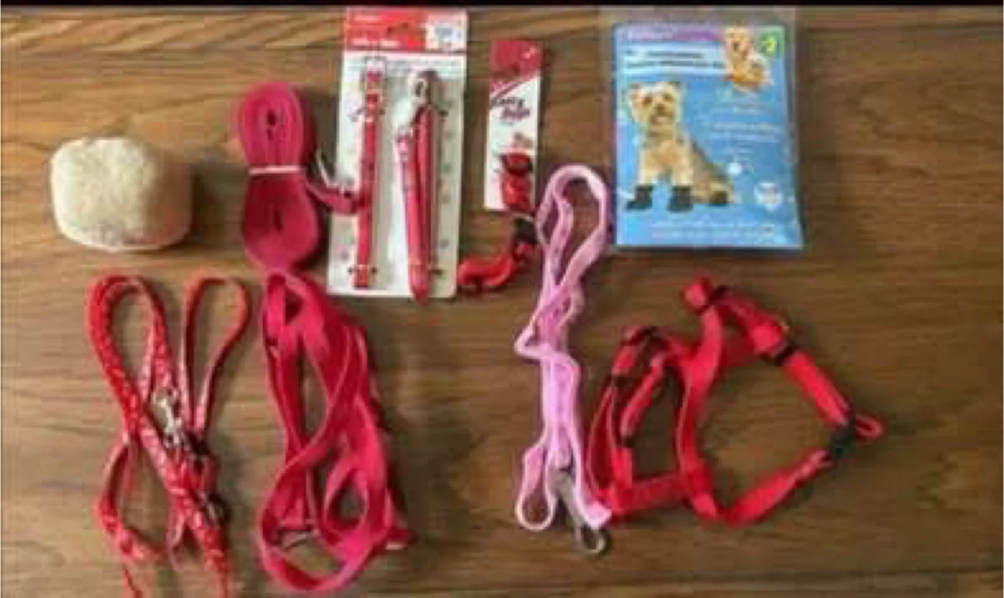 Dog leashes, collars, etc (All new) (All for FREE)