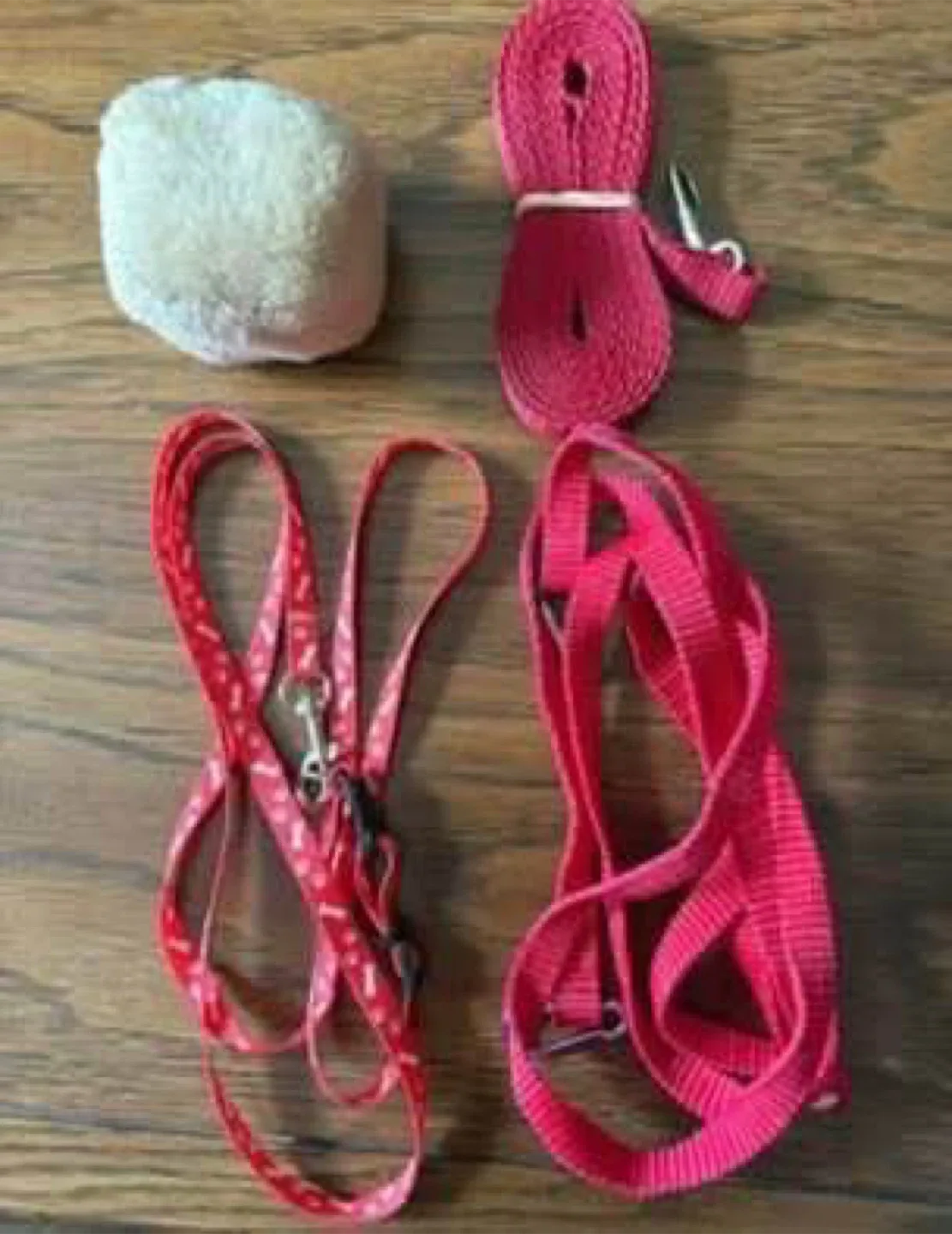 Dog leashes, collars, etc (All new) (All for FREE) image indicator(2)