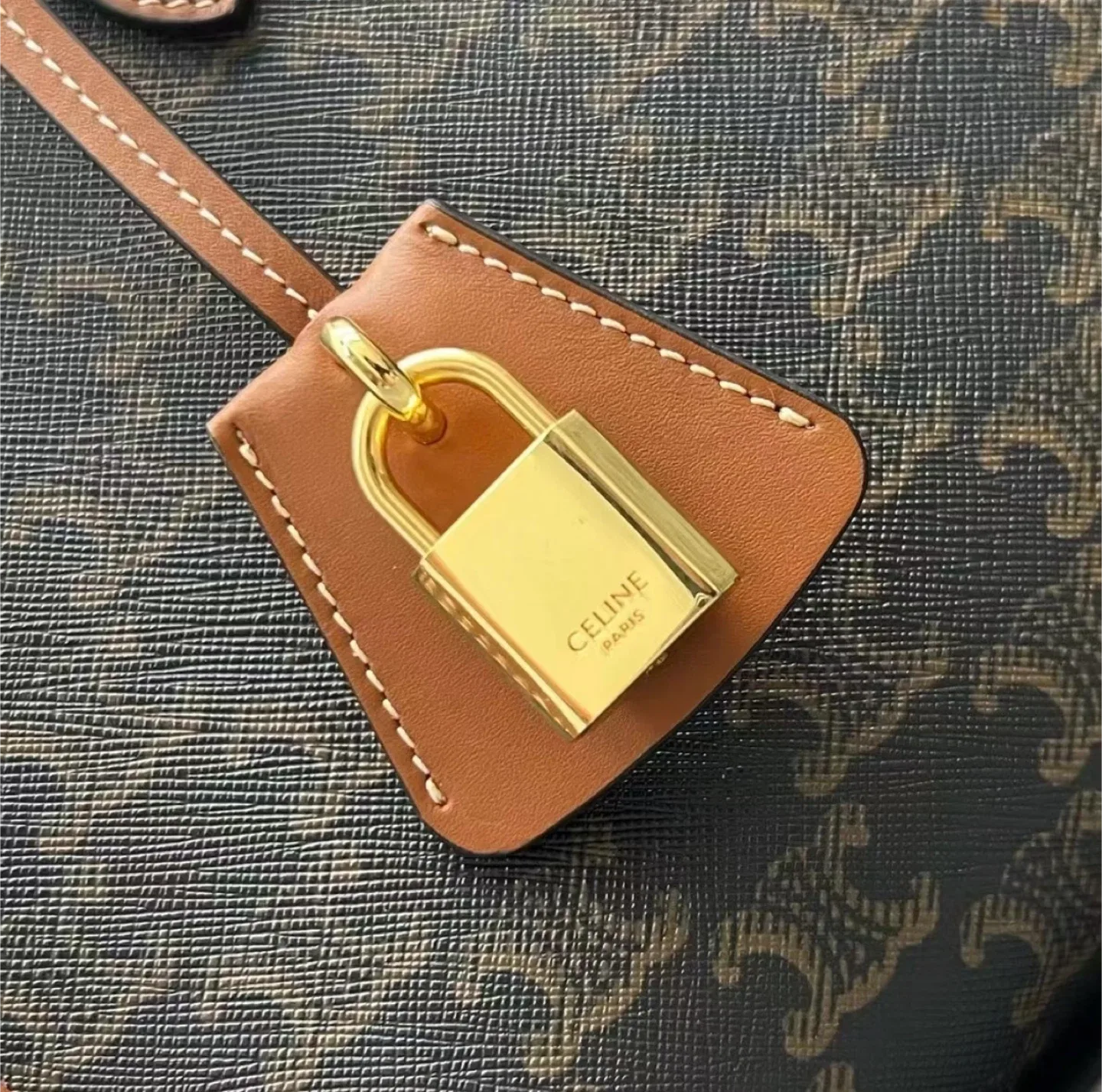 Celin Medium Cabas Tote Bag image indicator(4)