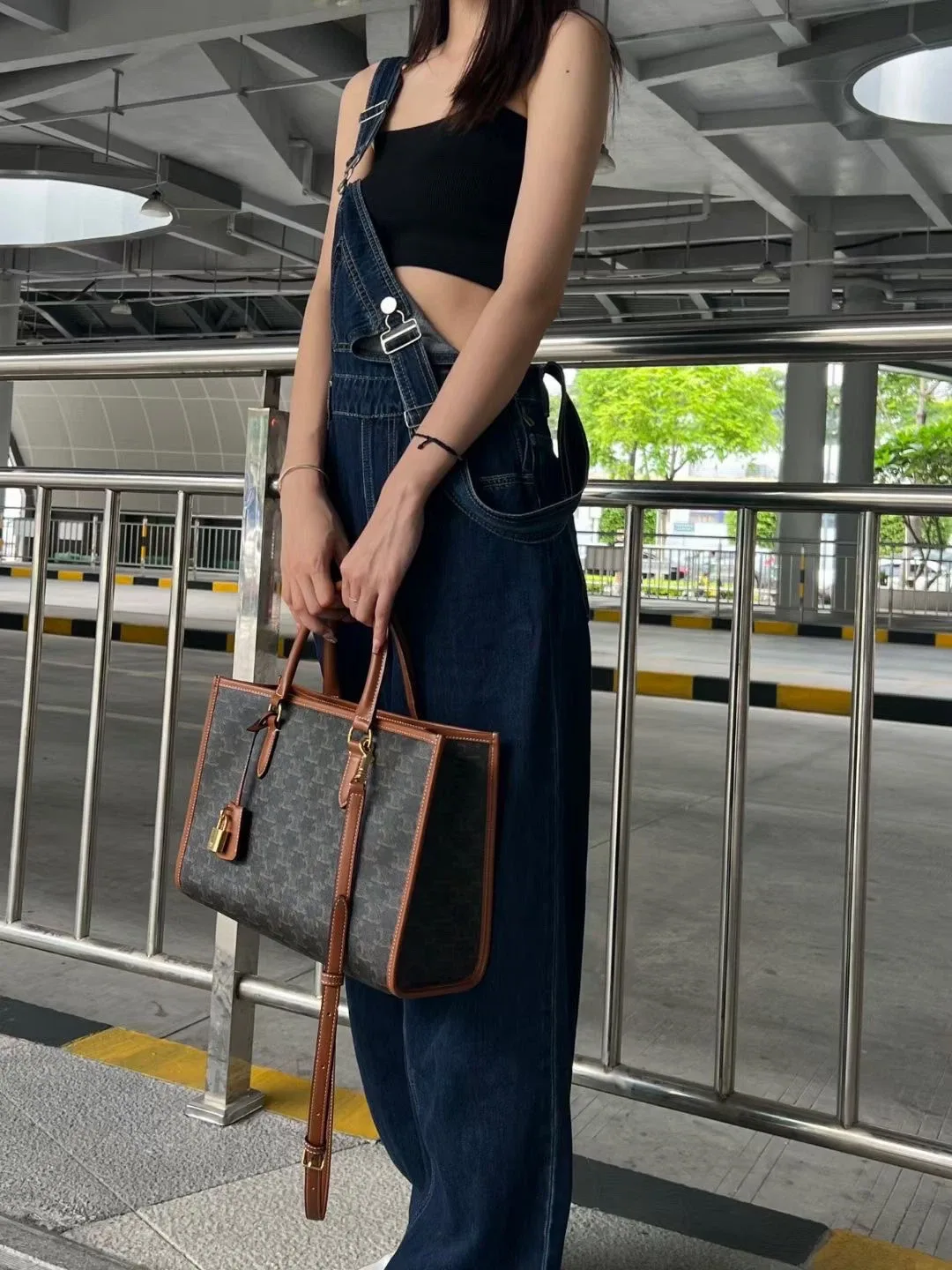 Celin Medium Cabas Tote Bag image indicator(8)