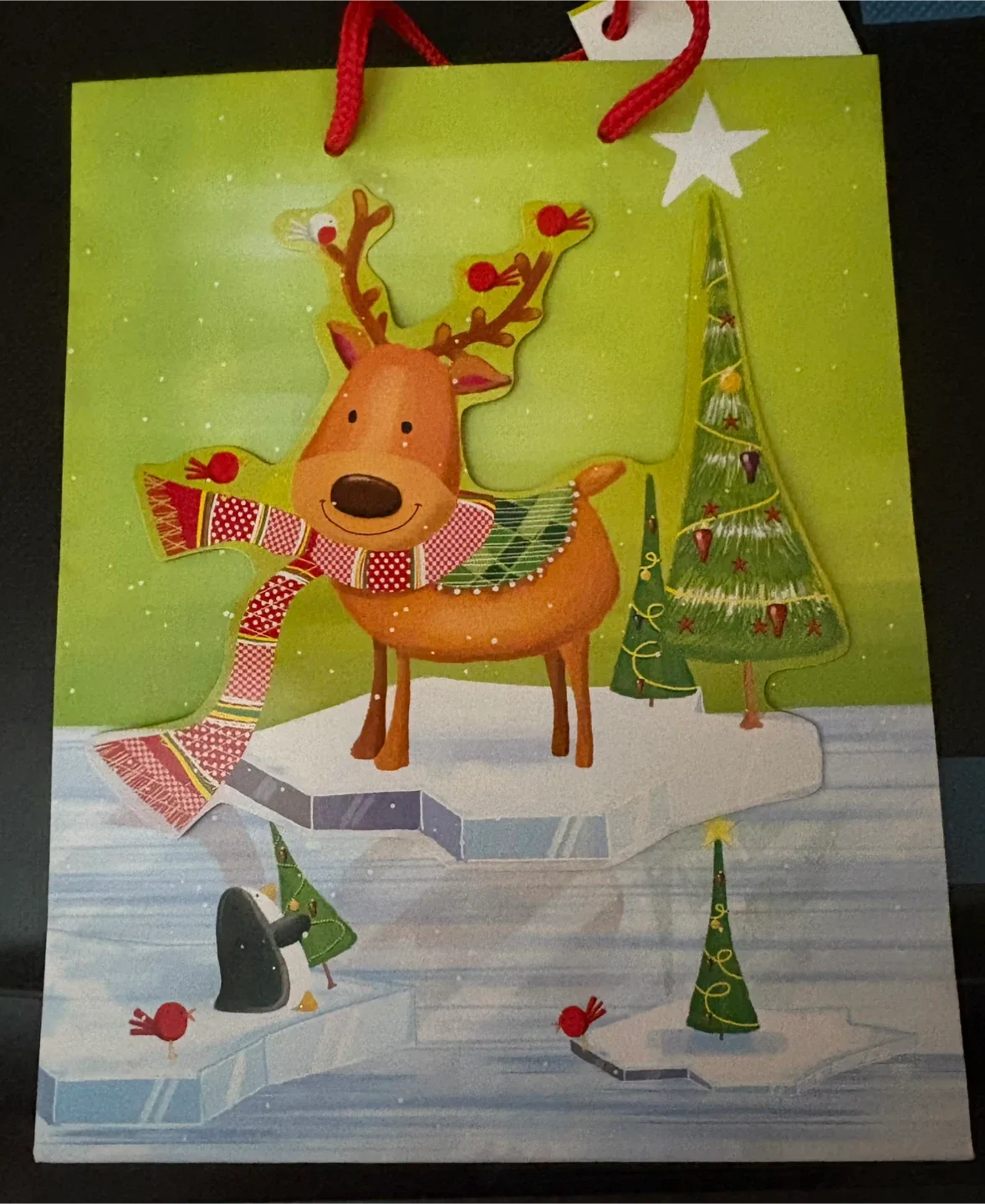 Christmas gift bag (Never used) (FREE)