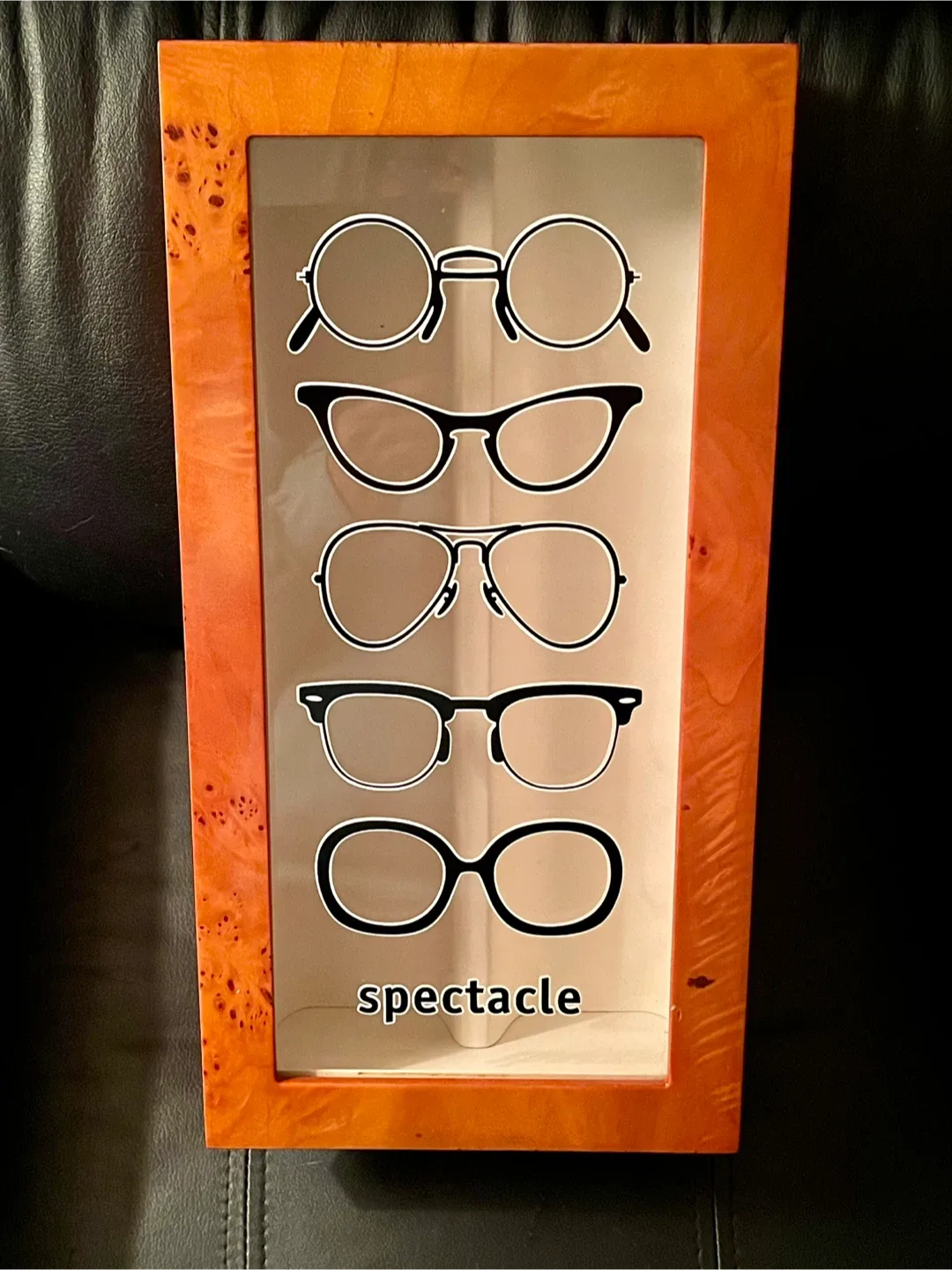 Deluxe OYOBox Spectacle Organizer