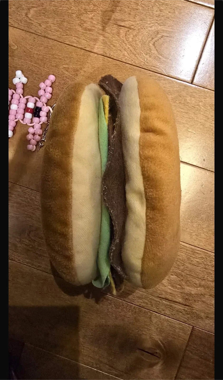 #Cleanout Burger Plushie Disc Case image indicator(2)