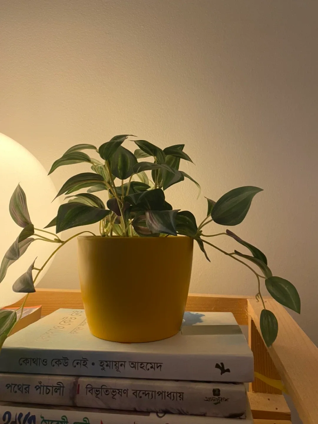 Fake plants with pot