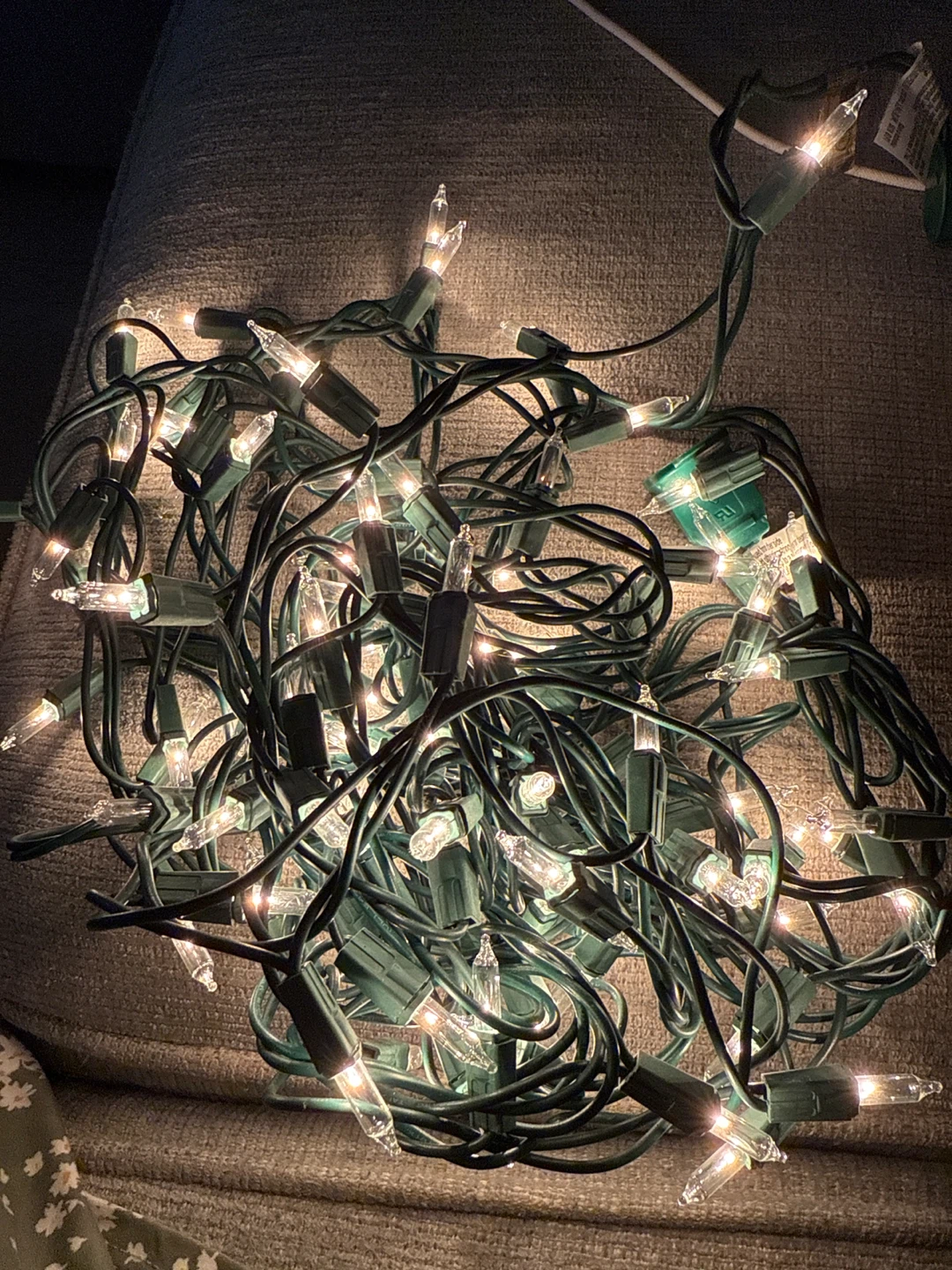 #cleanout Christmas String Lights