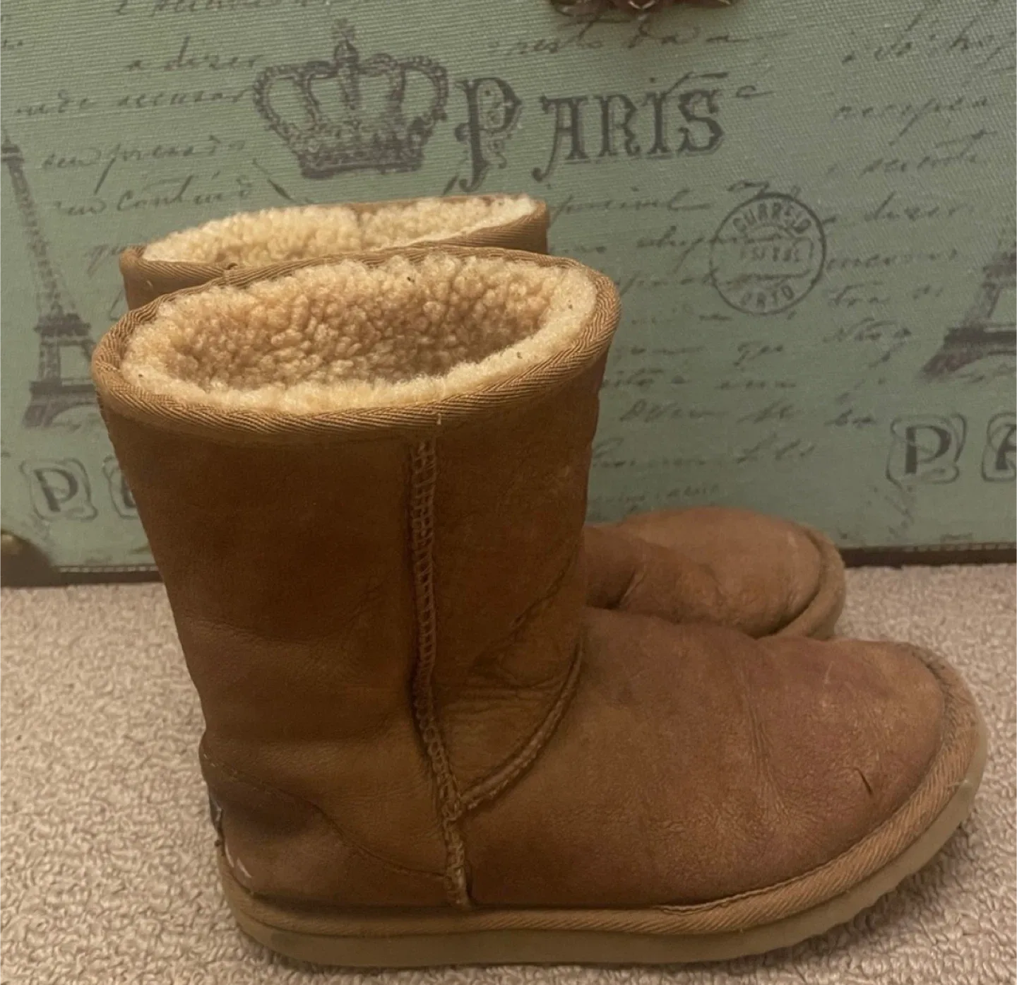 UGG Australia Brown Boots image indicator(4)