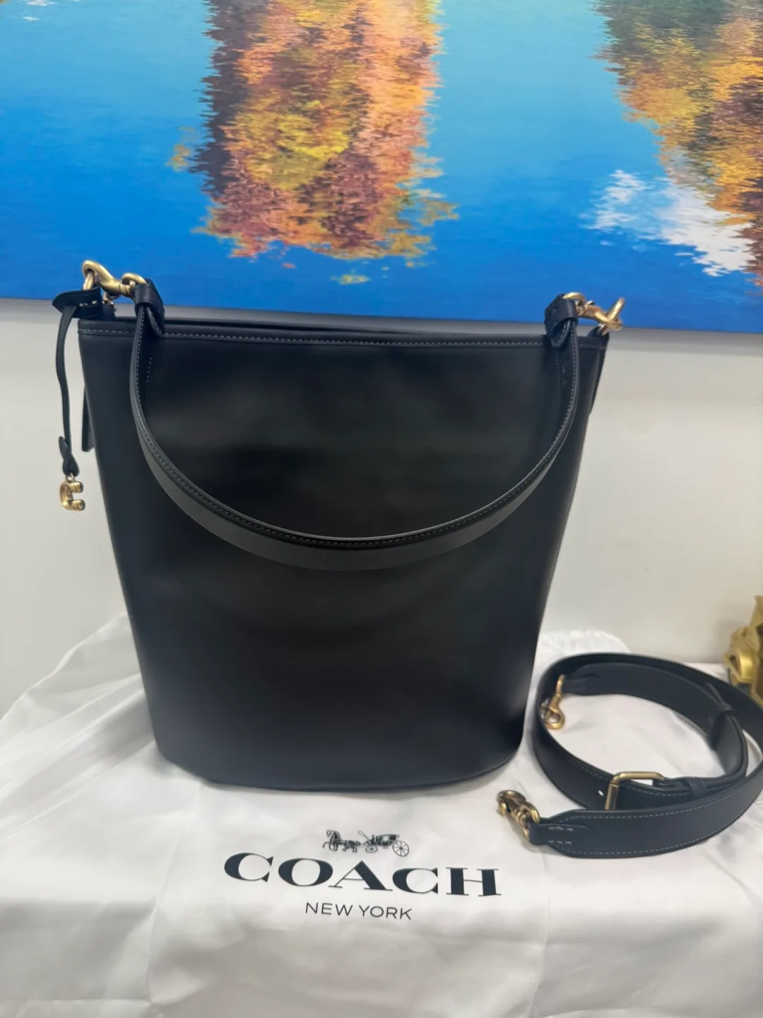 Coach Black Leather Bucket Bag